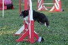  - Concours d'agility de Mouriès