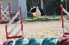  - Concours d'agility des Cadeou