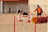  - Concours d'agility des Cadéou