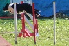  - Concours d'agility de Mouriès