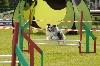  - Concours d'agility de Marignane