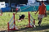  - Concours d'agility des Cadéou