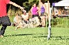  - Concours d'agility de Mouriès