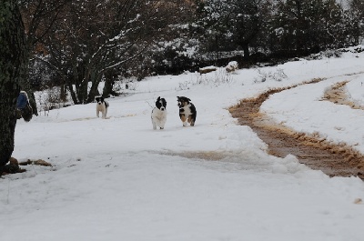 des Crocs de Provence - Découverte de la neige