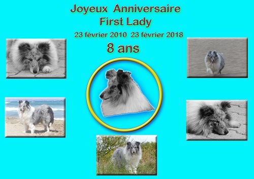 des Crocs de Provence - Joyeux Anniversaire