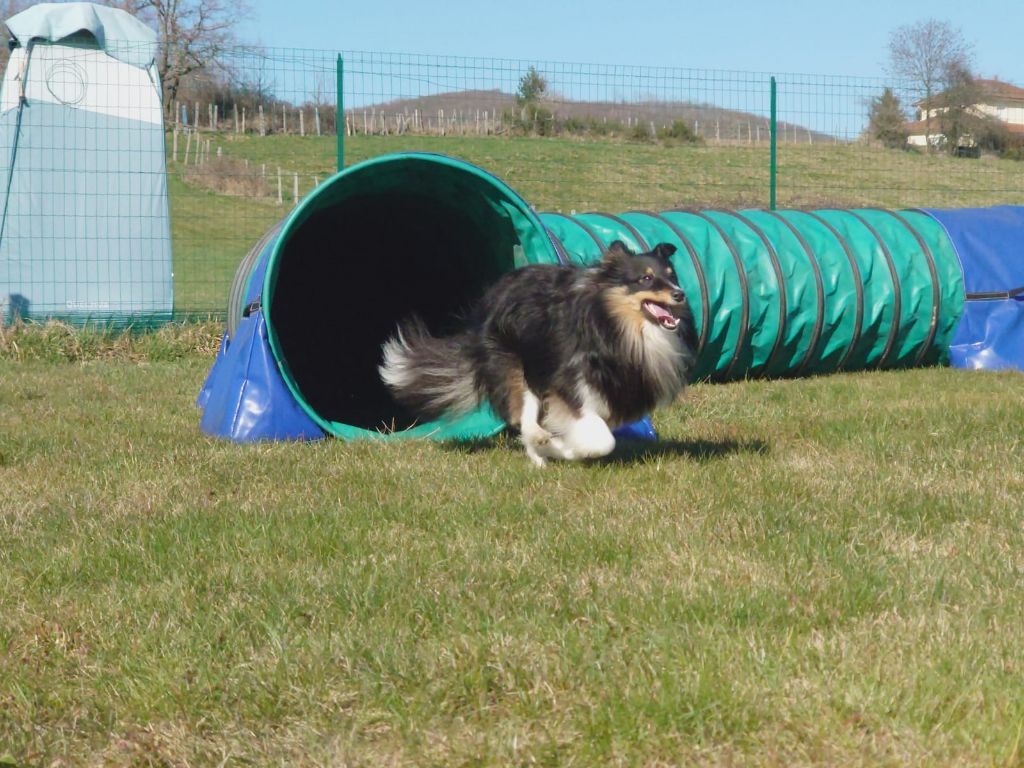 des Crocs de Provence - Passagility réussi pour Super Rocky