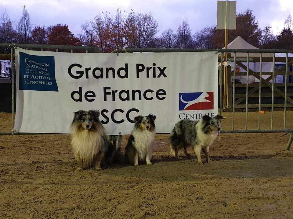 des Crocs de Provence - J'imagine à la Finale du G.P.F.