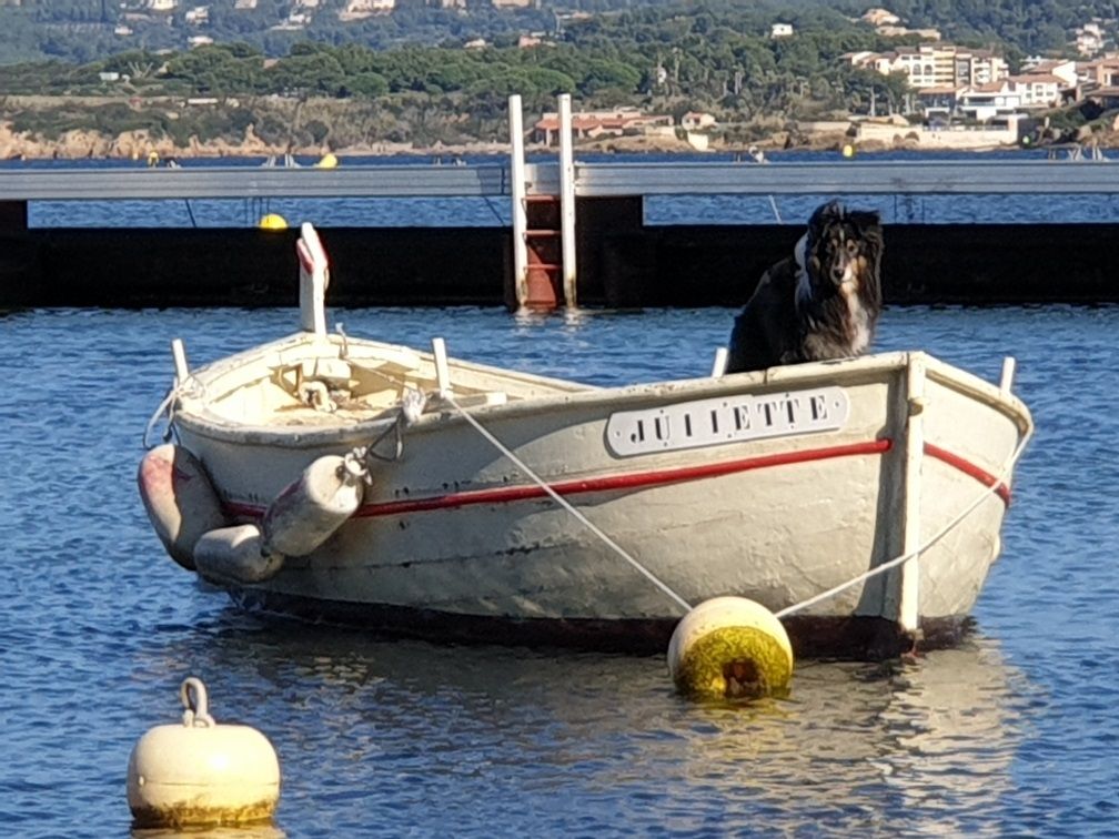 des Crocs de Provence - Des nouvelles de Haïku