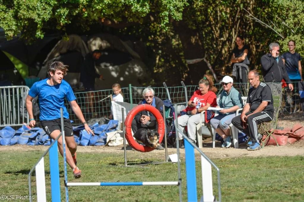 des Crocs de Provence - Concours d'agility d'A.F.A.