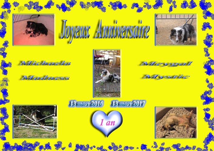 des Crocs de Provence - Joyeux Anniversaire