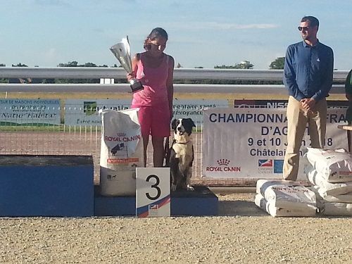 des Crocs de Provence - Championnat de France d'agility 2018