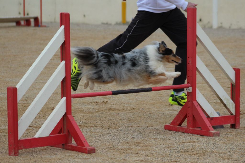 des Crocs de Provence - Finale du Grand Prix de France 2019