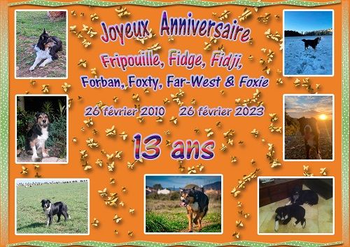 des Crocs de Provence - Joyeux Anniversaire