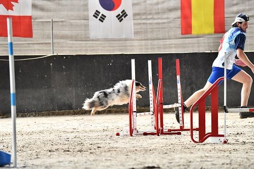 des Crocs de Provence - Esteban et Légolas à la W.A.C.