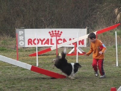 des Crocs de Provence - Concours d'agility des Cadéou