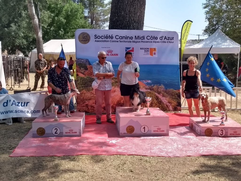 des Crocs de Provence - CAC de Trets