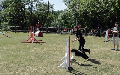 des Crocs de Provence - Concours d'agility d'Ollioules