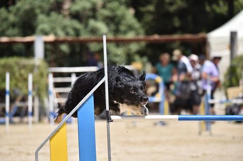 des Crocs de Provence - On au concours des Cadéou