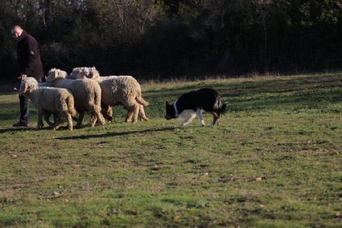 des Crocs de Provence - Des nouvelles de Foxty