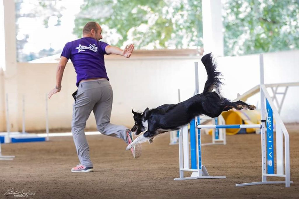 des Crocs de Provence - Reflex a Star vainqueur de la Supercoppa italienne 2024