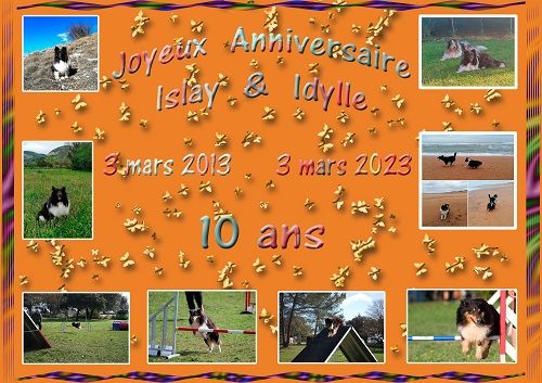 des Crocs de Provence - Joyeux Anniversaire