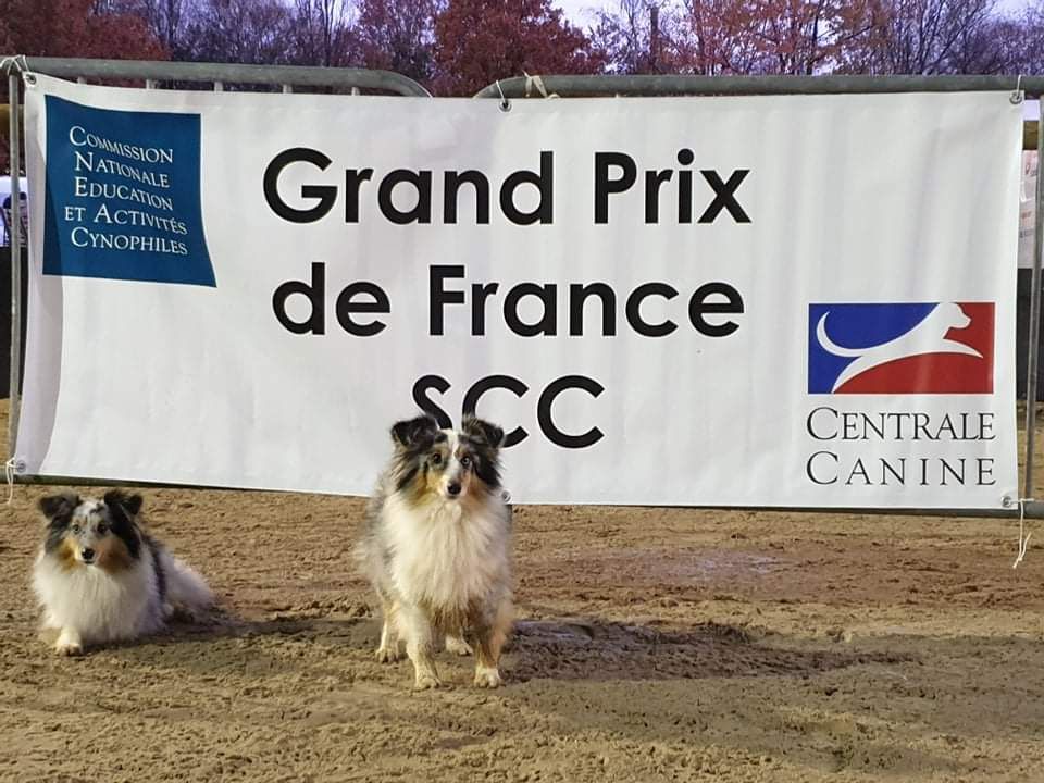 des Crocs de Provence - Maenerys à la Finale du G.P.F.