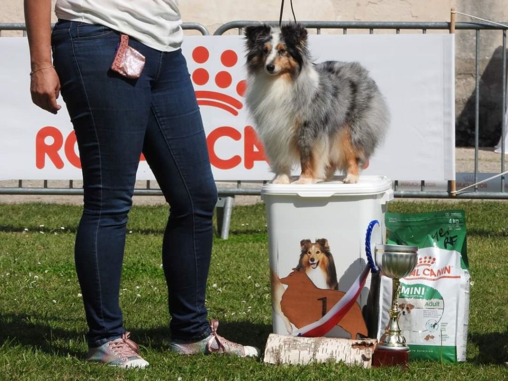 des Crocs de Provence - Trophée Roland Touzeau