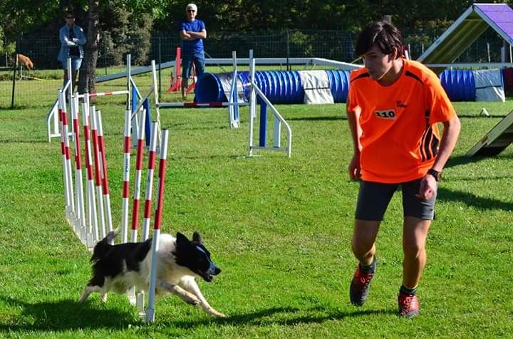 des Crocs de Provence - Concours d'agility de Saint Martin de Crau