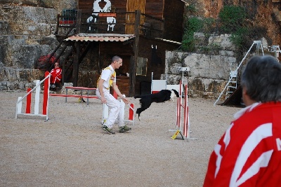 des Crocs de Provence - Concours d'agility de La Valette