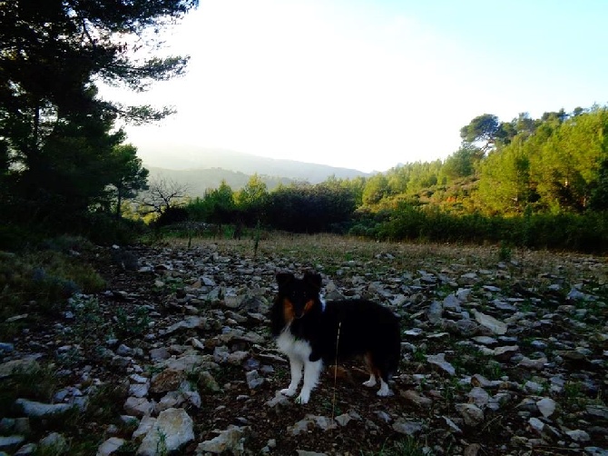 des Crocs de Provence - Des nouvelles de Mew