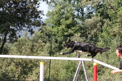 des Crocs de Provence - Championnat de France