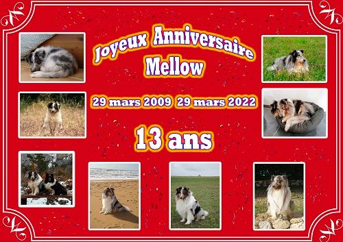 des Crocs de Provence - Joyeux Anniversaire