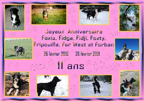 des Crocs de Provence - Joyeux Anniversaire