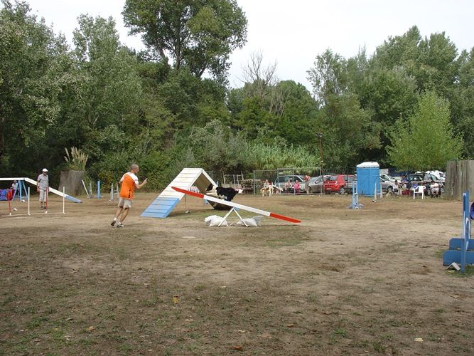 des Crocs de Provence - Concours d'agility de Fréjus