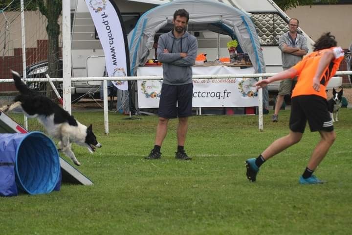 des Crocs de Provence - Concours d'agility des Cadéous