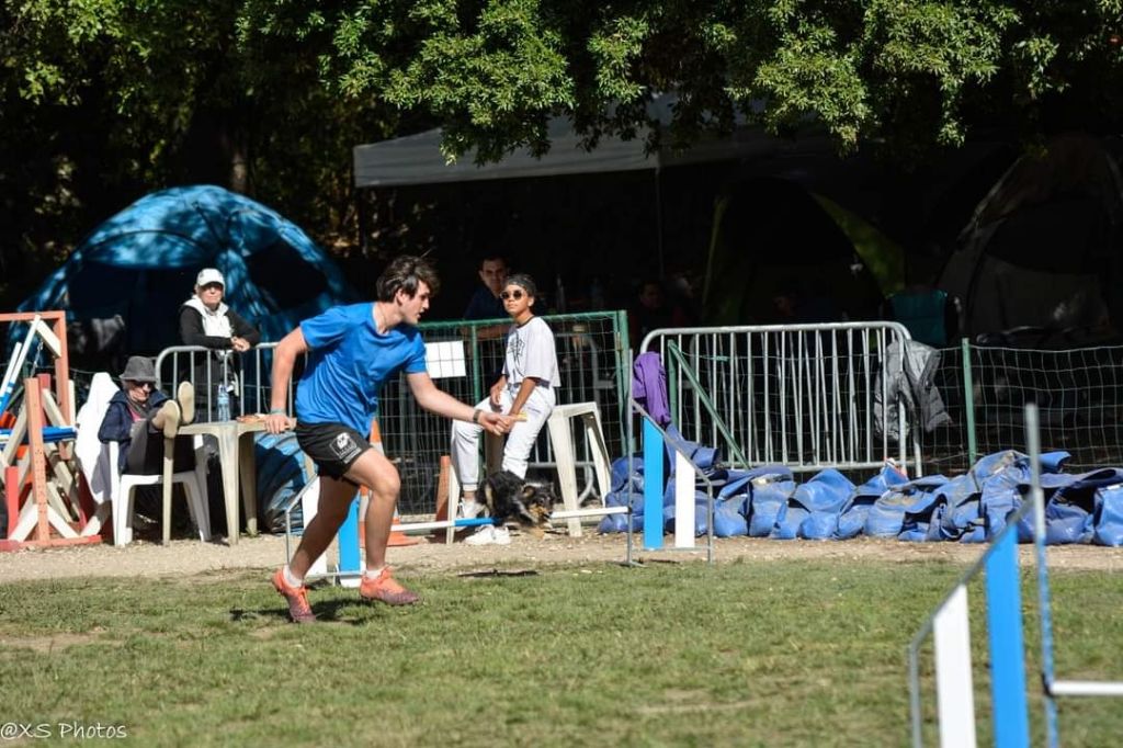 des Crocs de Provence - Concours d'agility de Martigues