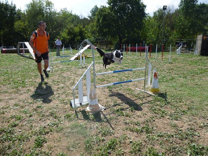 des Crocs de Provence - Concours d'agility d'Aix en Provence