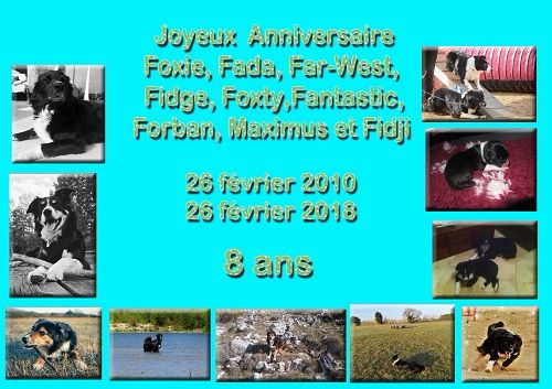 des Crocs de Provence - Joyeux Anniversaire