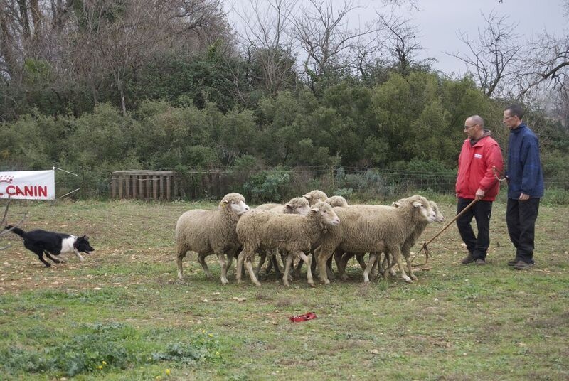 Juji gatamé des Crocs de Provence