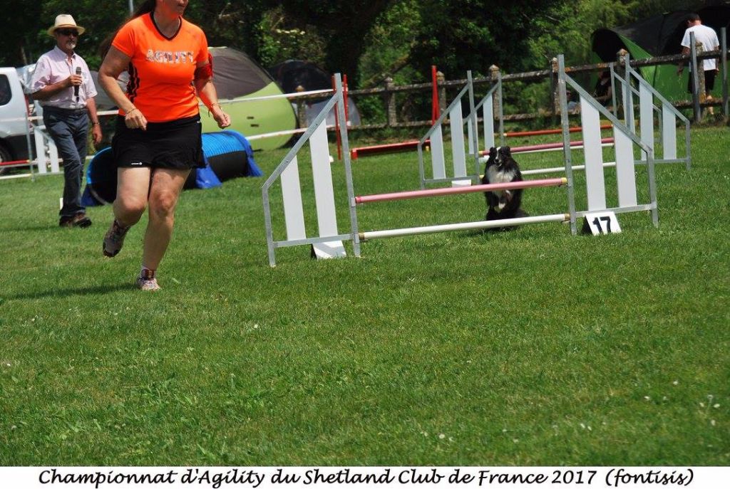 CH. Flèche noire du grand pré d 'ortignac