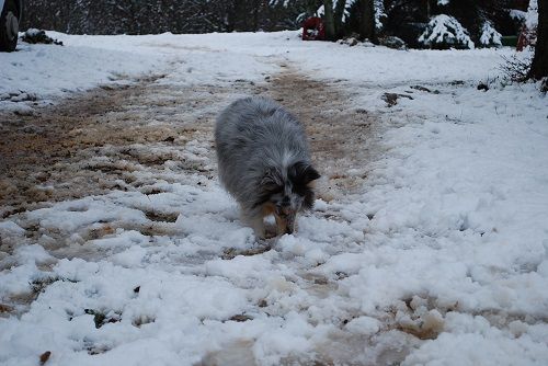 June bleu des Crocs de Provence