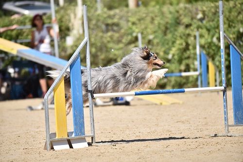 June bleu des Crocs de Provence