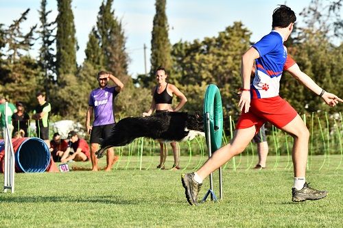 On des Crocs de Provence