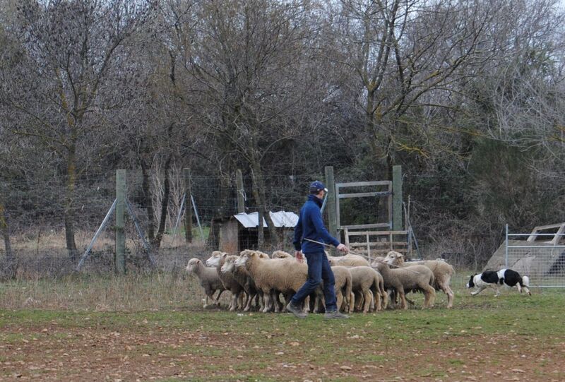 Ippon sorémadé des Crocs de Provence