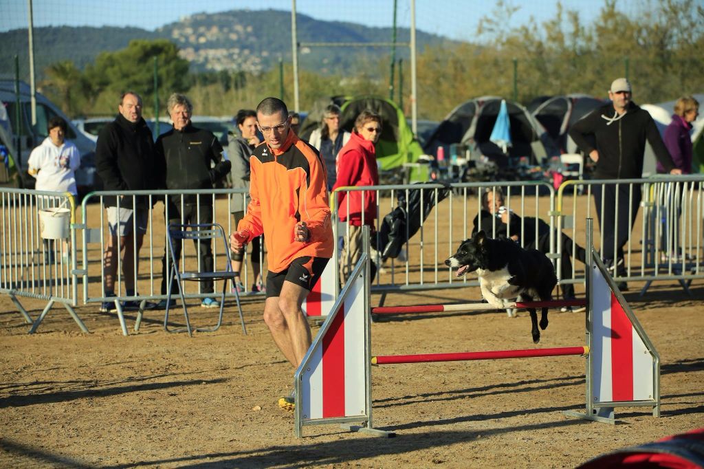 Juji gatamé des Crocs de Provence