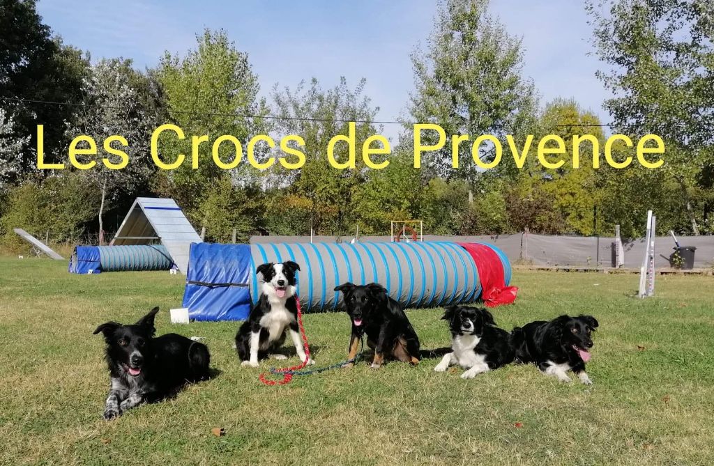 On des Crocs de Provence