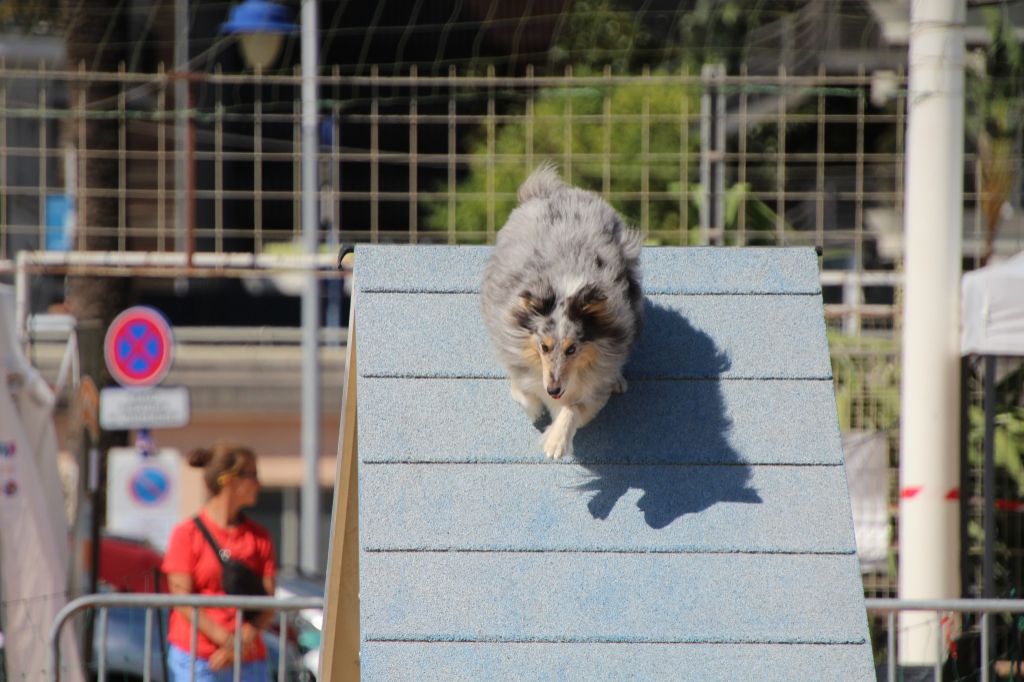 June bleu des Crocs de Provence