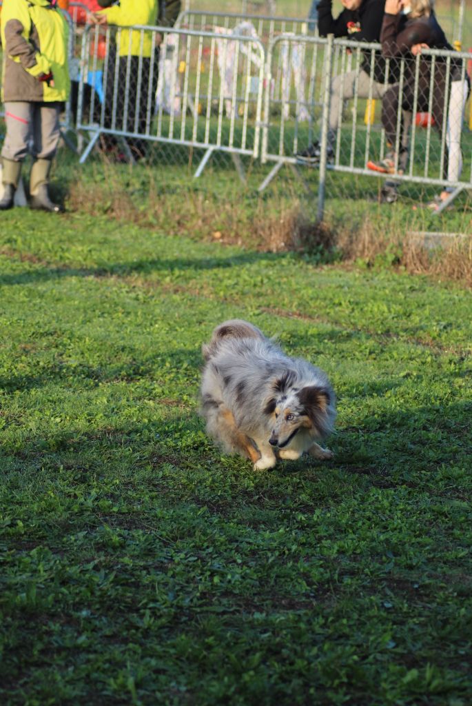 June bleu des Crocs de Provence