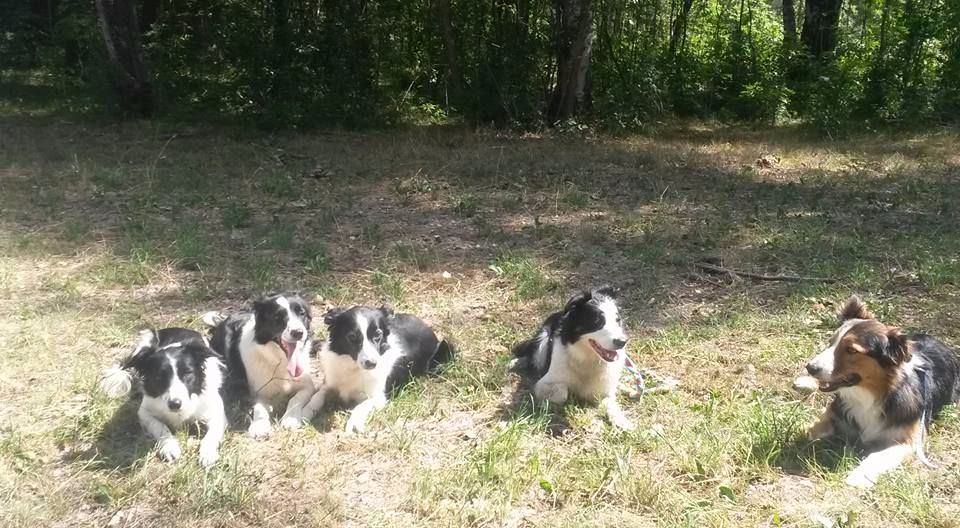 Ippon sorémadé des Crocs de Provence