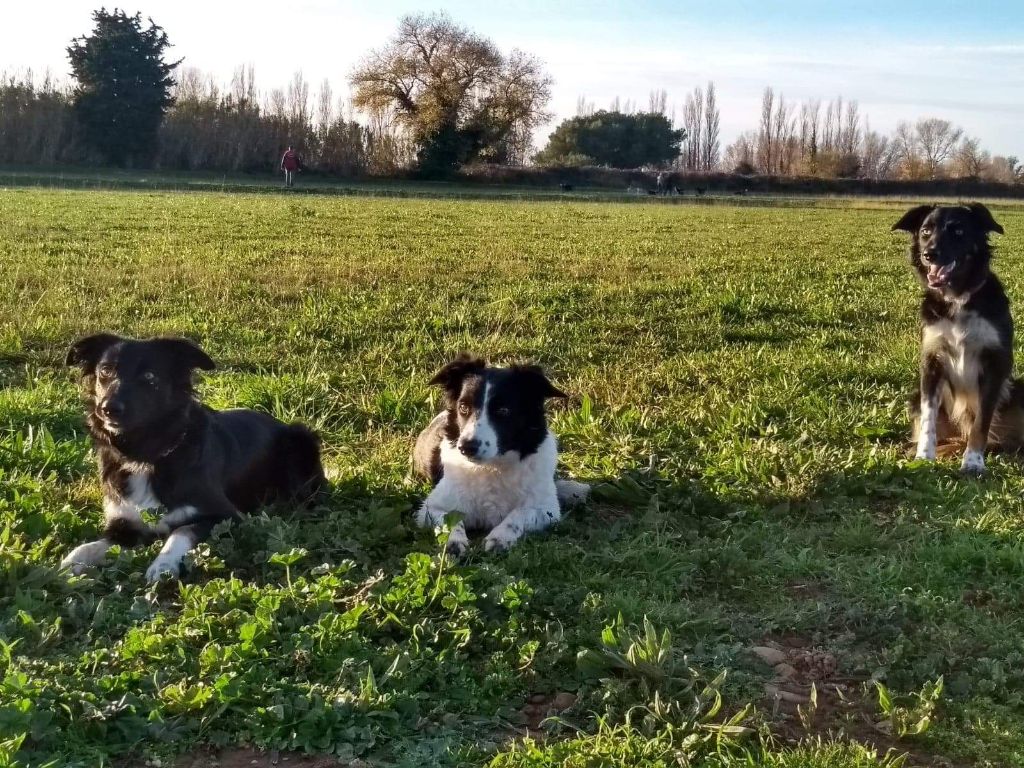 Ippon sorémadé des Crocs de Provence